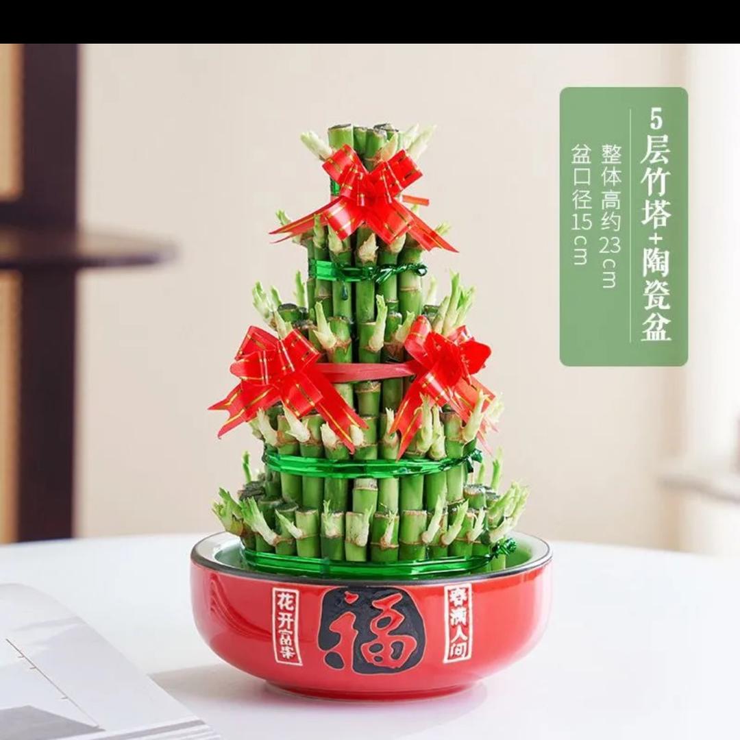鲤来运转