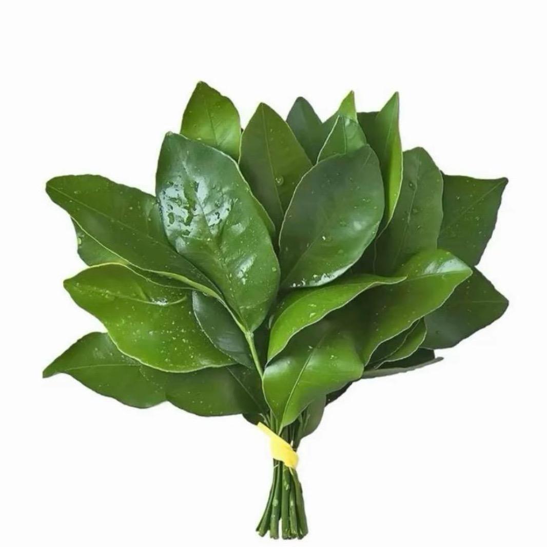 番茄不炒蛋ʚ