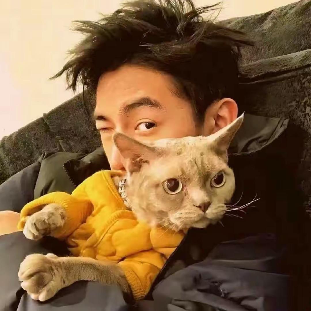 十五.