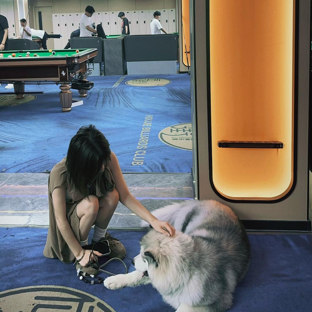阳阳