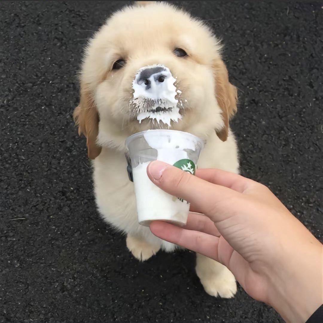 南方ㅤ ㅤ