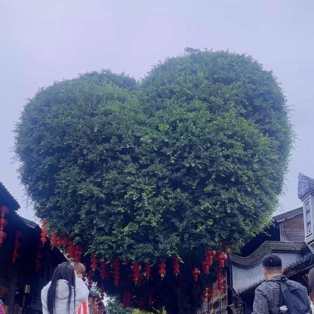 开心百货