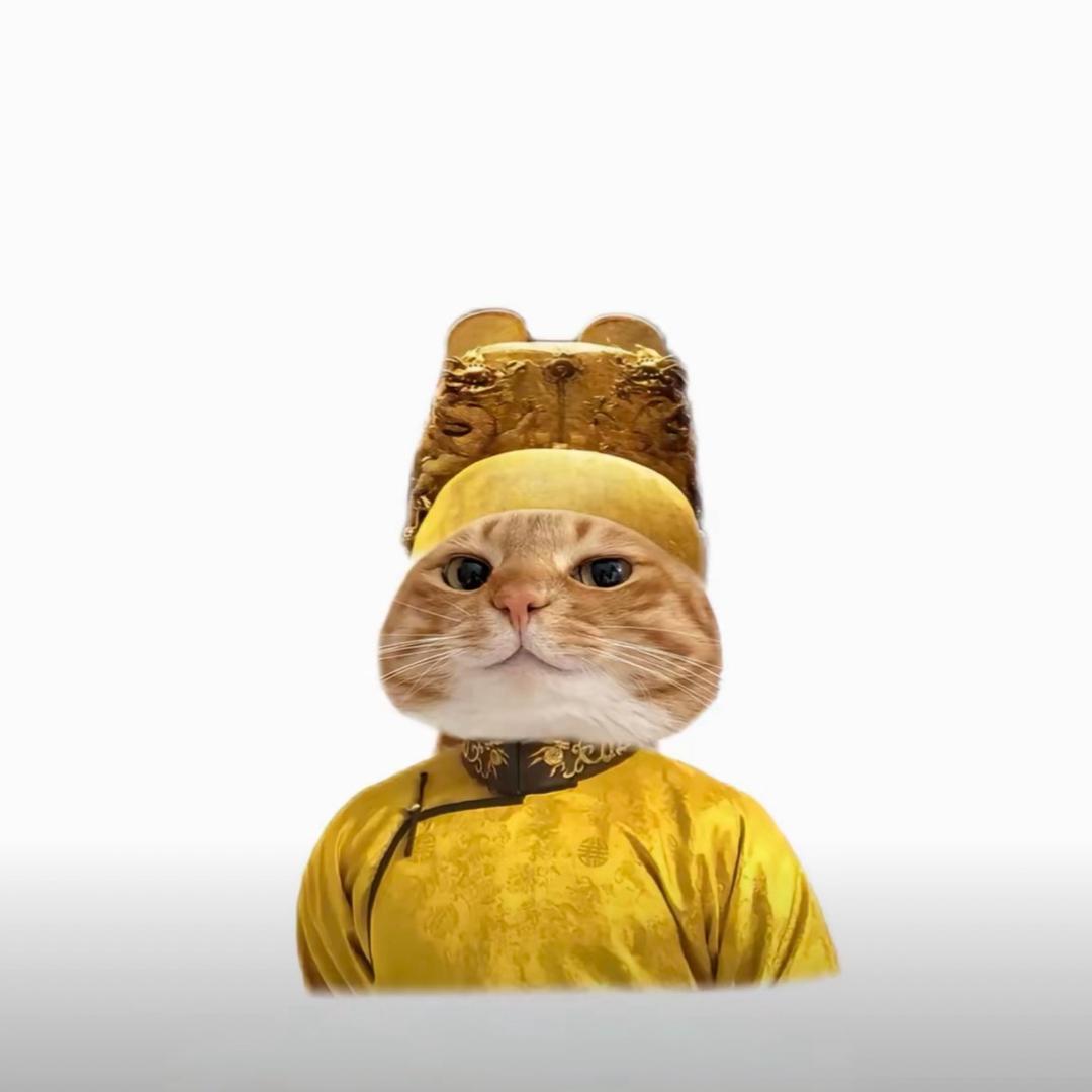 邪恶八爪鱼