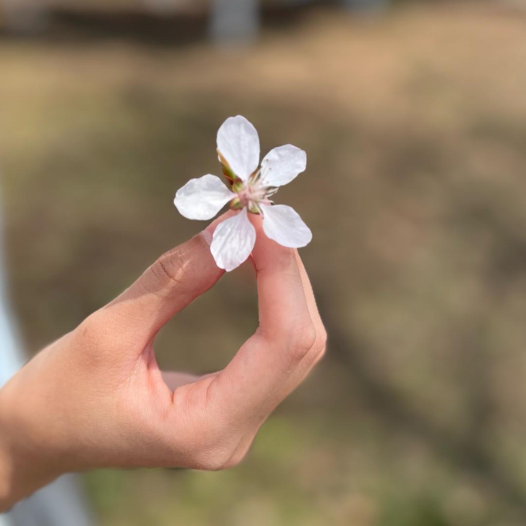 ృ༊¹⁹₈₃静静♡✨⃢前⃢程⃢似⃢锦⃢✨