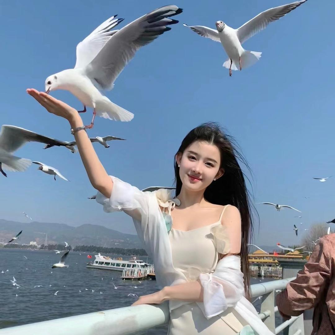 十一💫