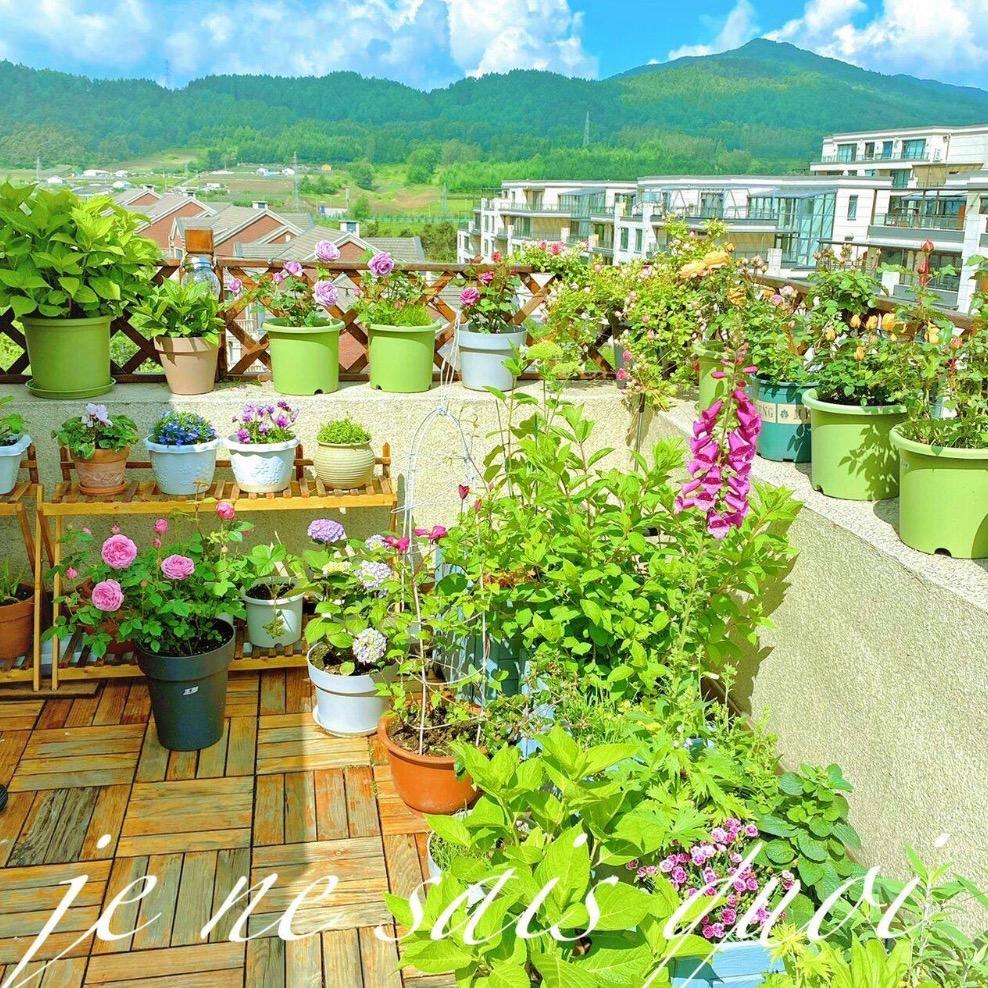 新疆花卉绿植业