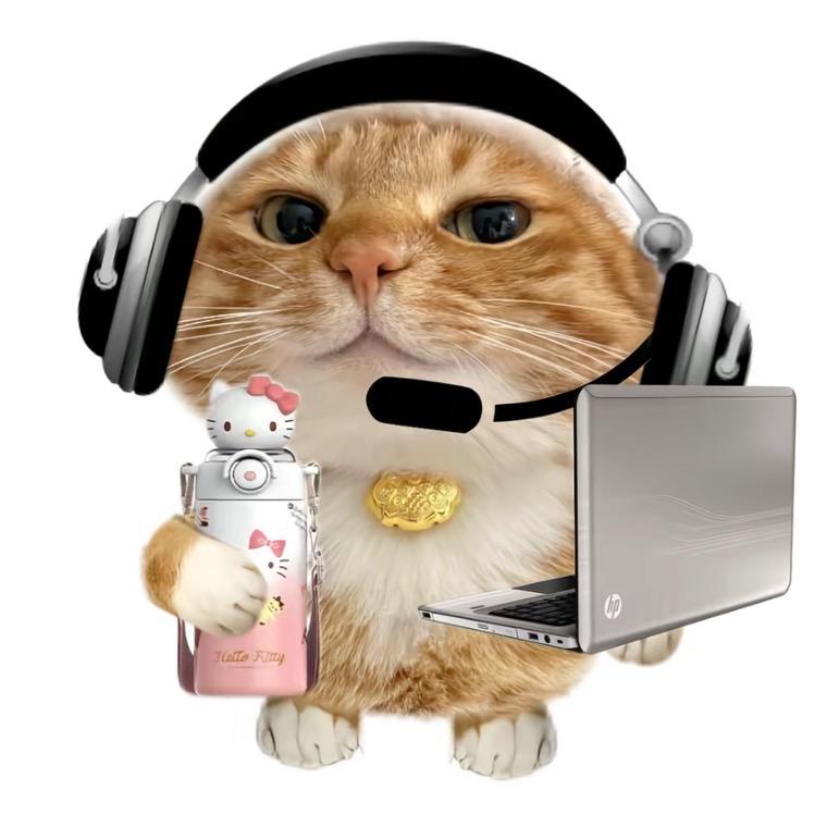 哪里有彩虹告诉我