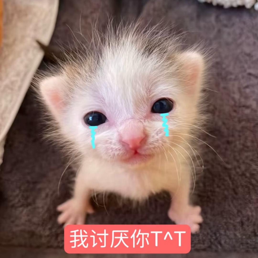 我也不懂我自己
