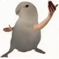 哦啦啦啦