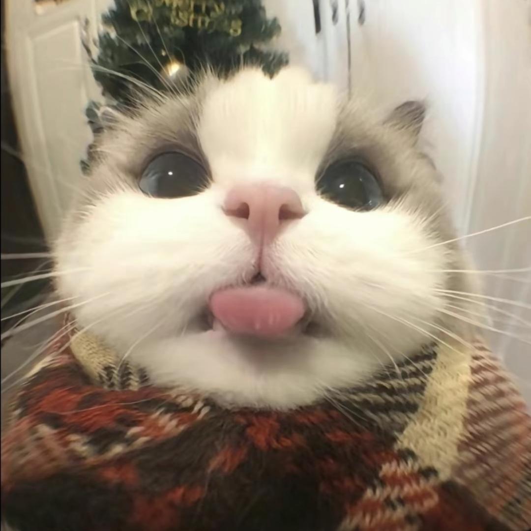 yy盈