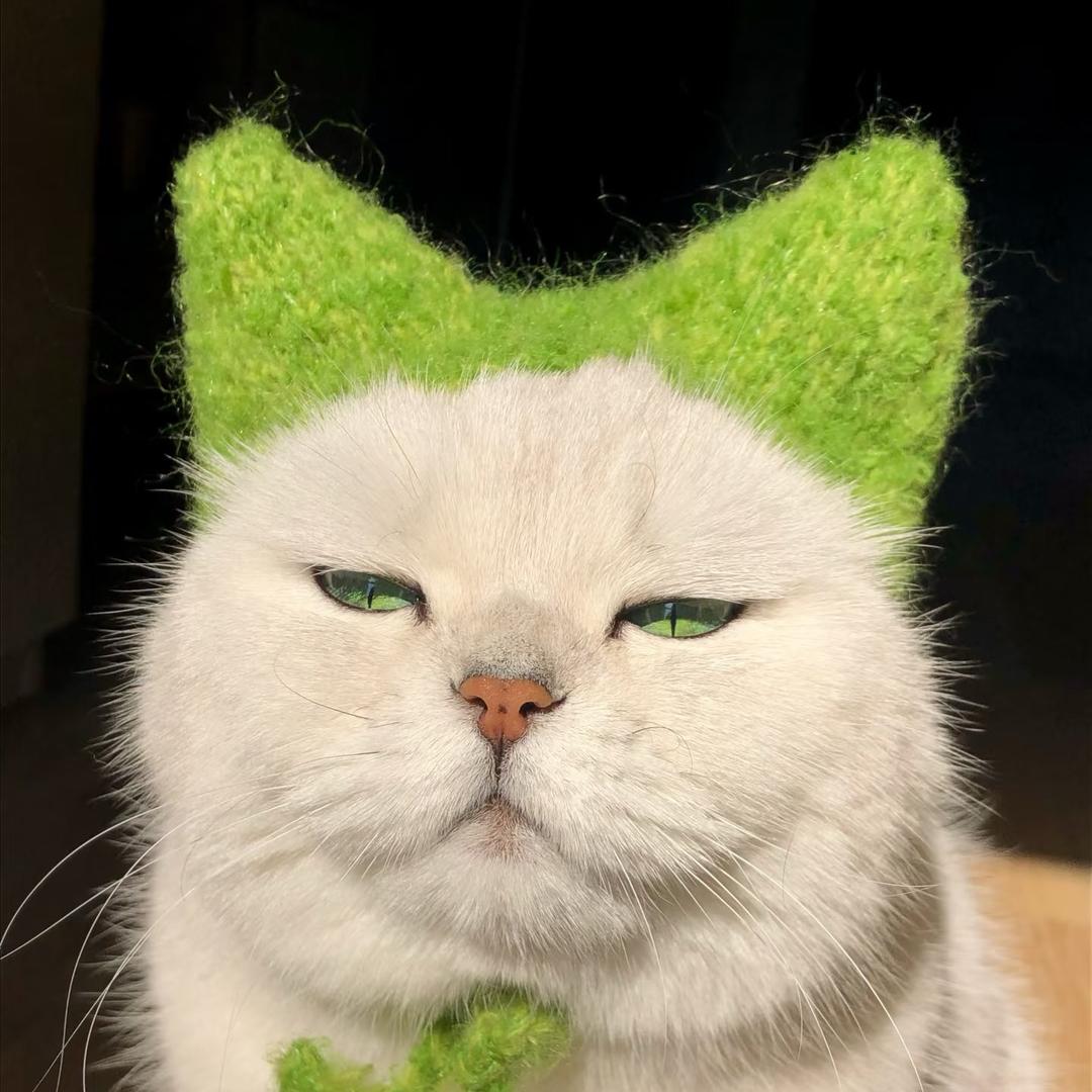 倪。