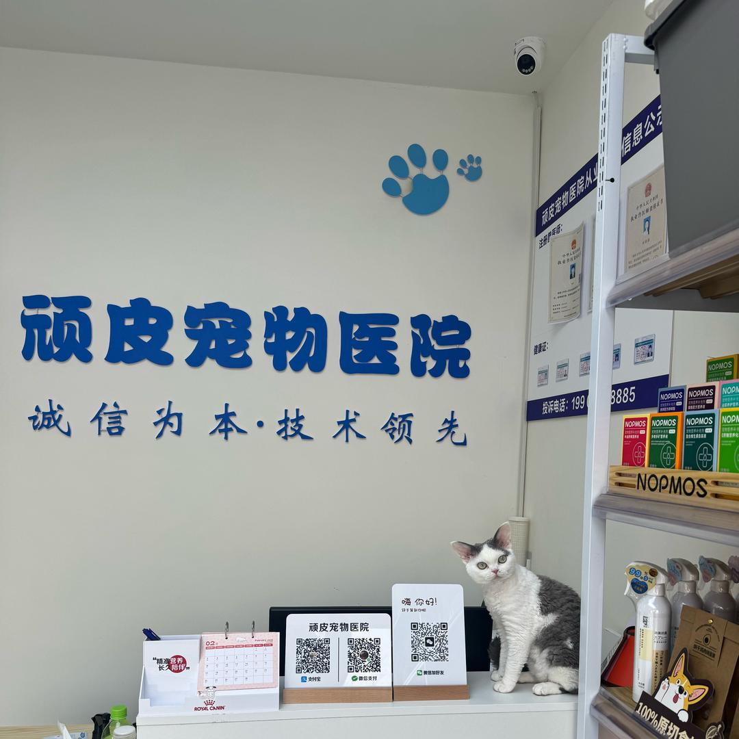 顽皮宠物医院（清华园店）