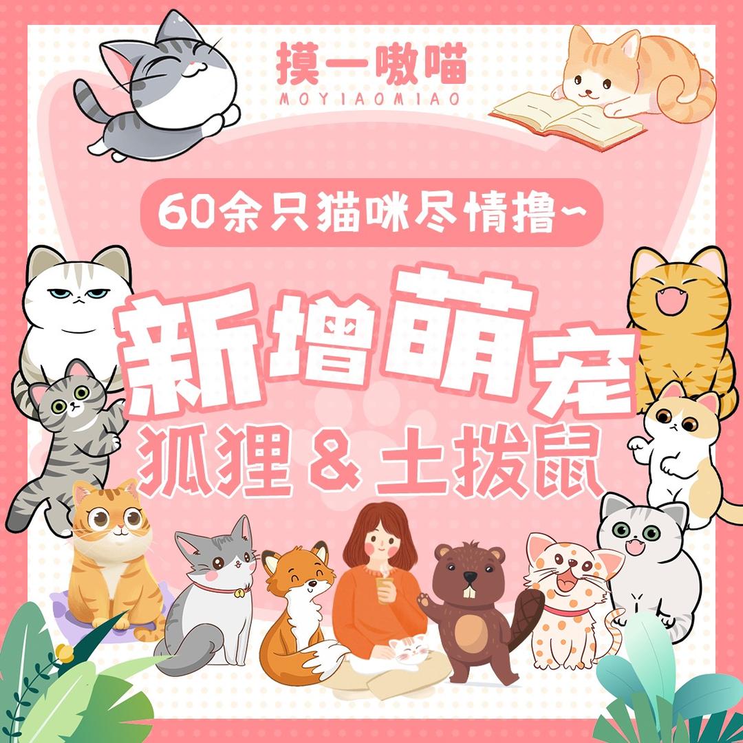 北京摸一嗷喵·撸猫馆·撸宠馆
