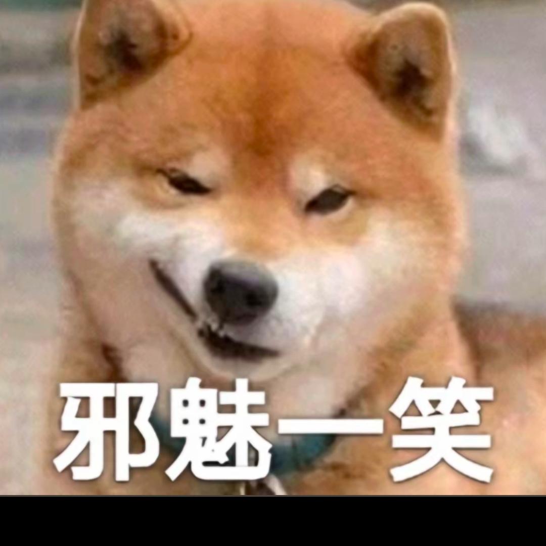 皮蛋solo粥