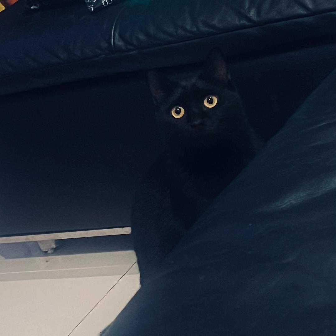 快乐星球🐣@抖音