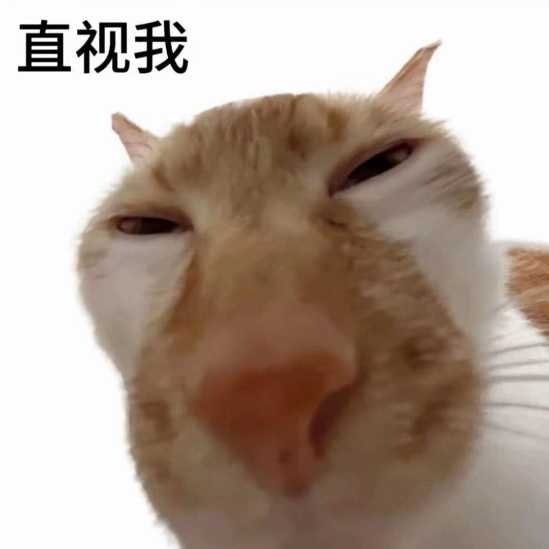 宇宙无敌超级霸王龙