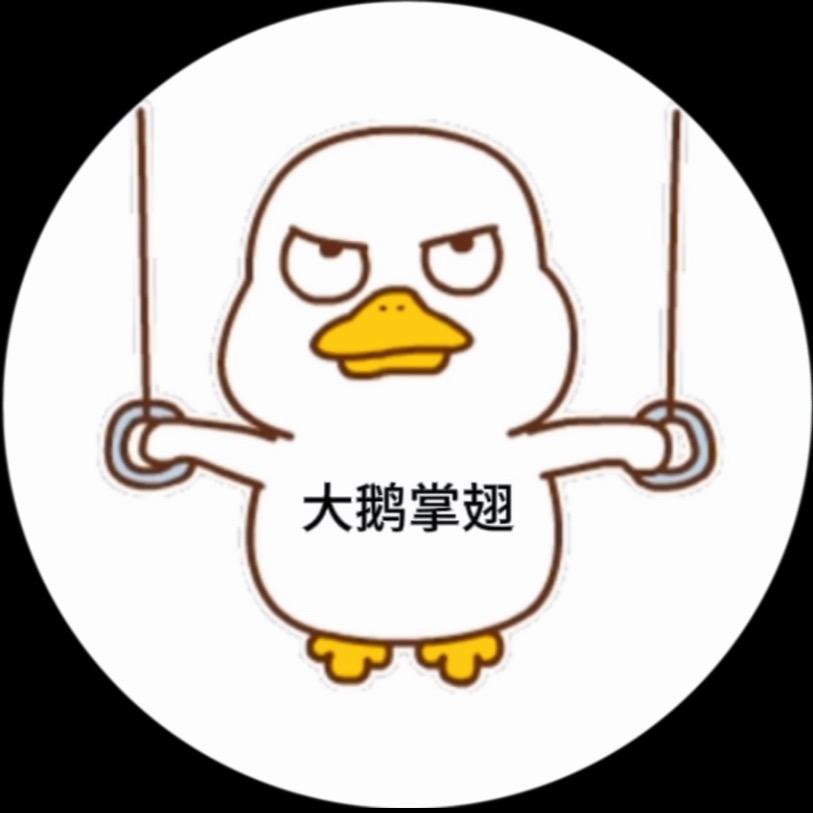 大鹅展翅无人机吊运（收徒中……）