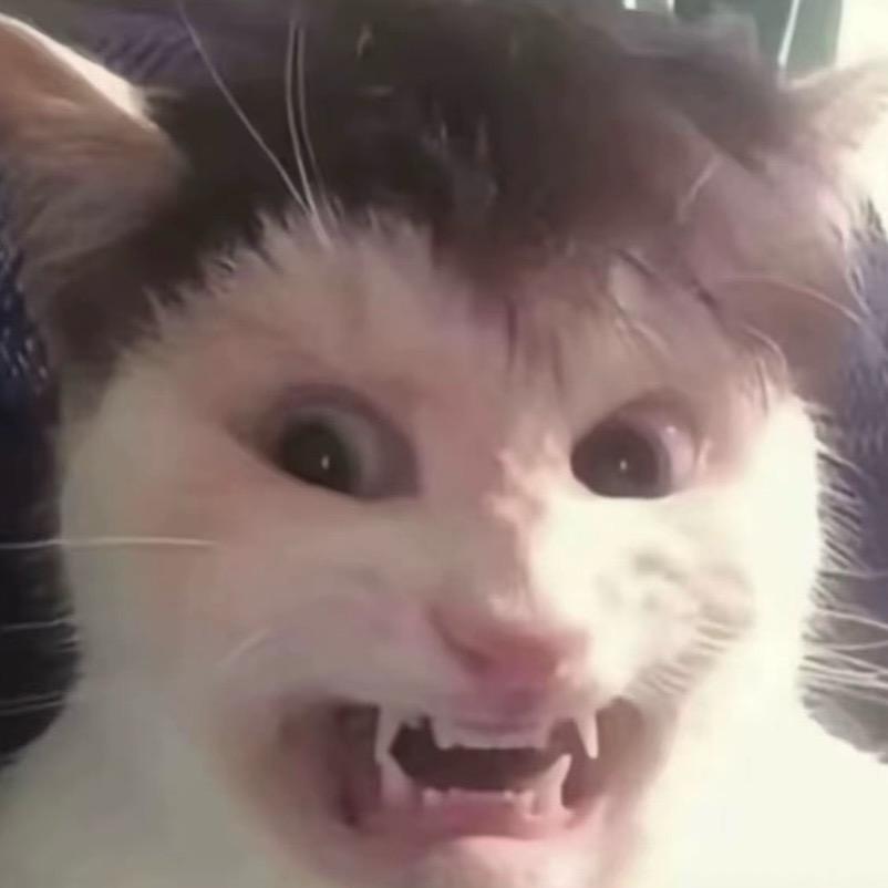发条铖