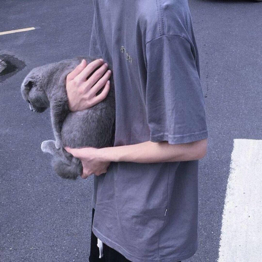 狗安