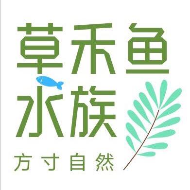 草禾鱼水族