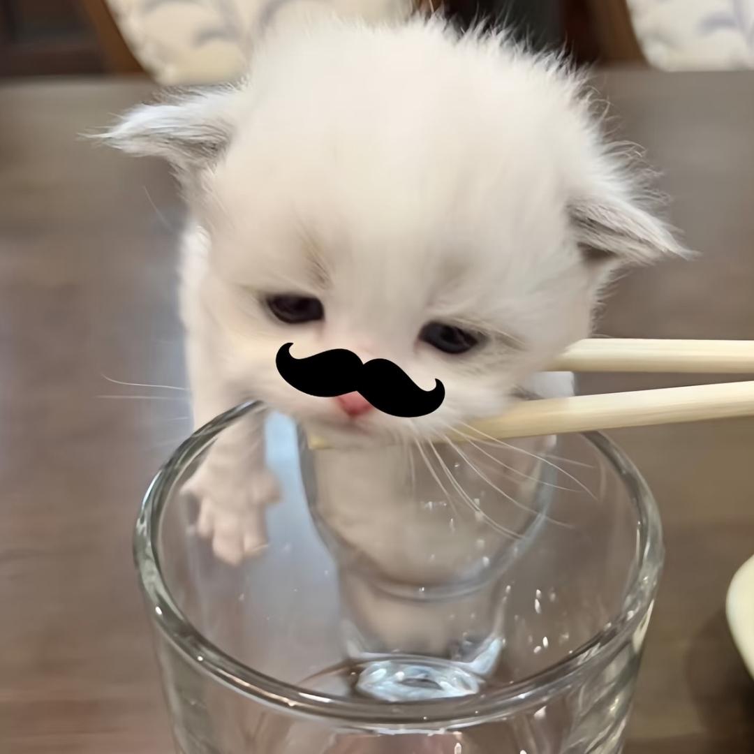 睡着了好困