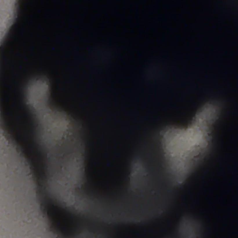阳旨