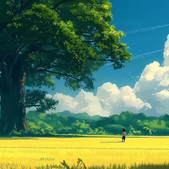 寻找免费露营地