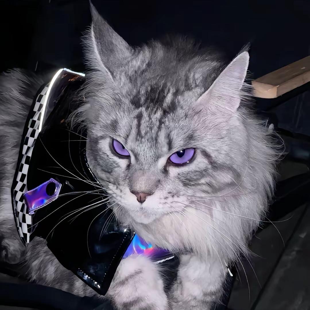 Tsuki