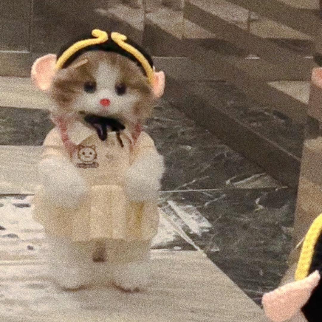 城南以南不是墙👨🏻