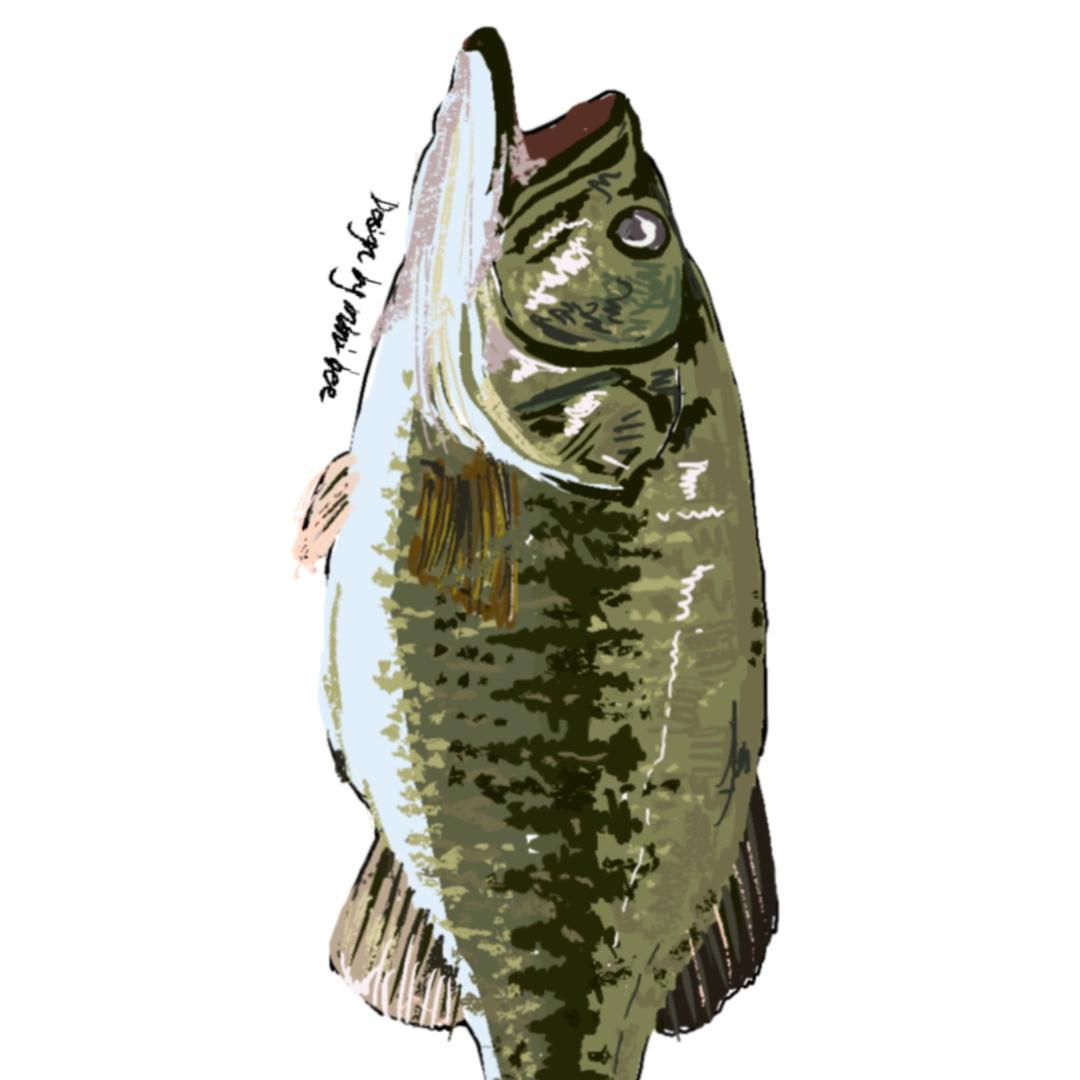 米妮蜂体育用品🎣