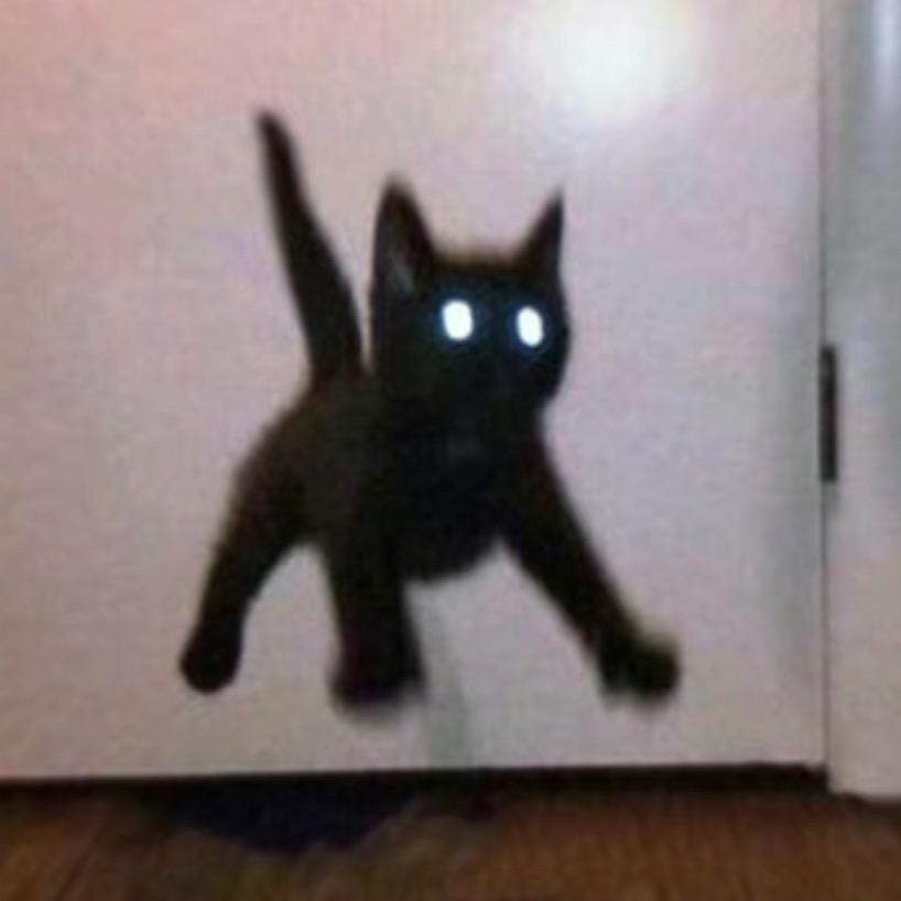 小蟹打横着走◉‿◉