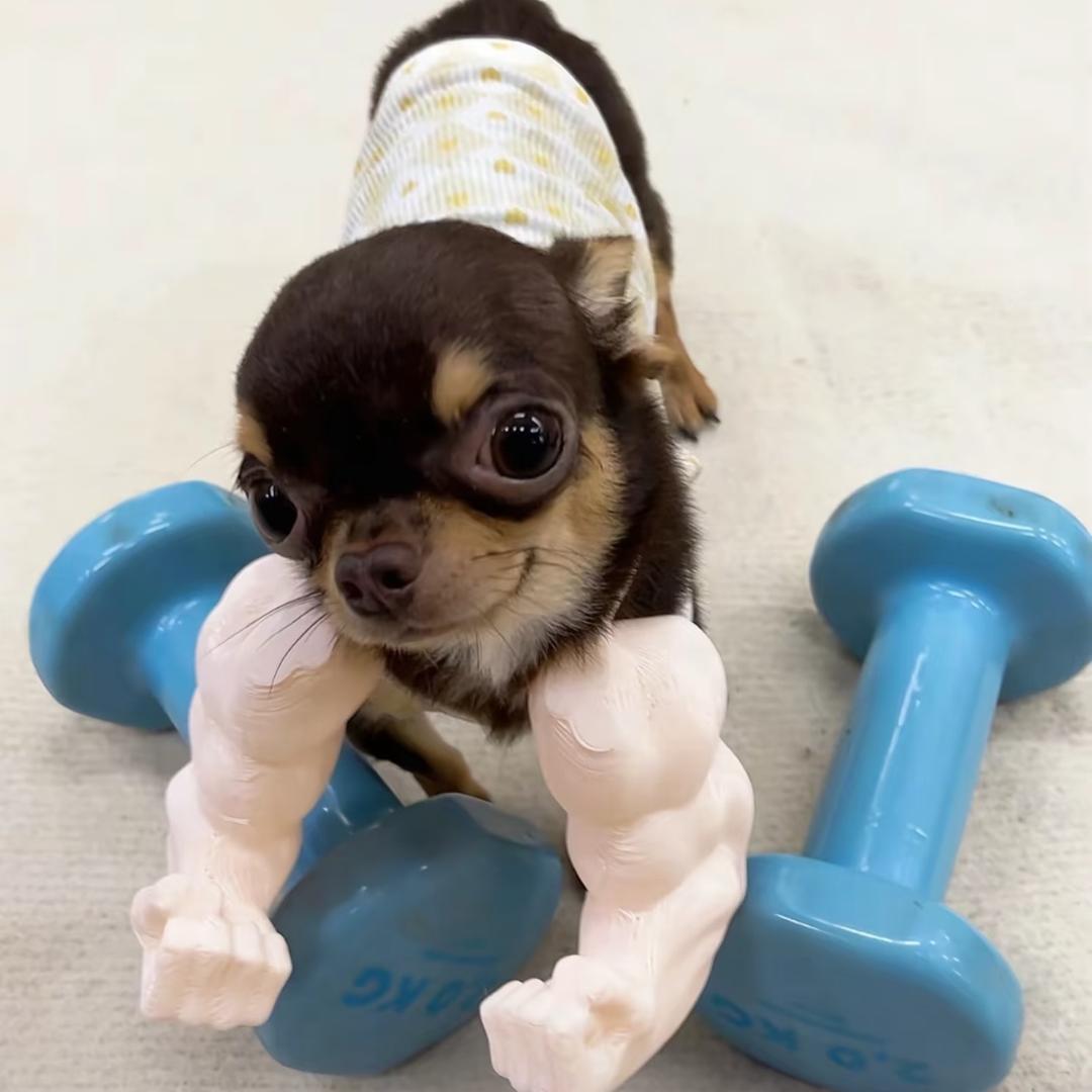 厌世的绝美少年