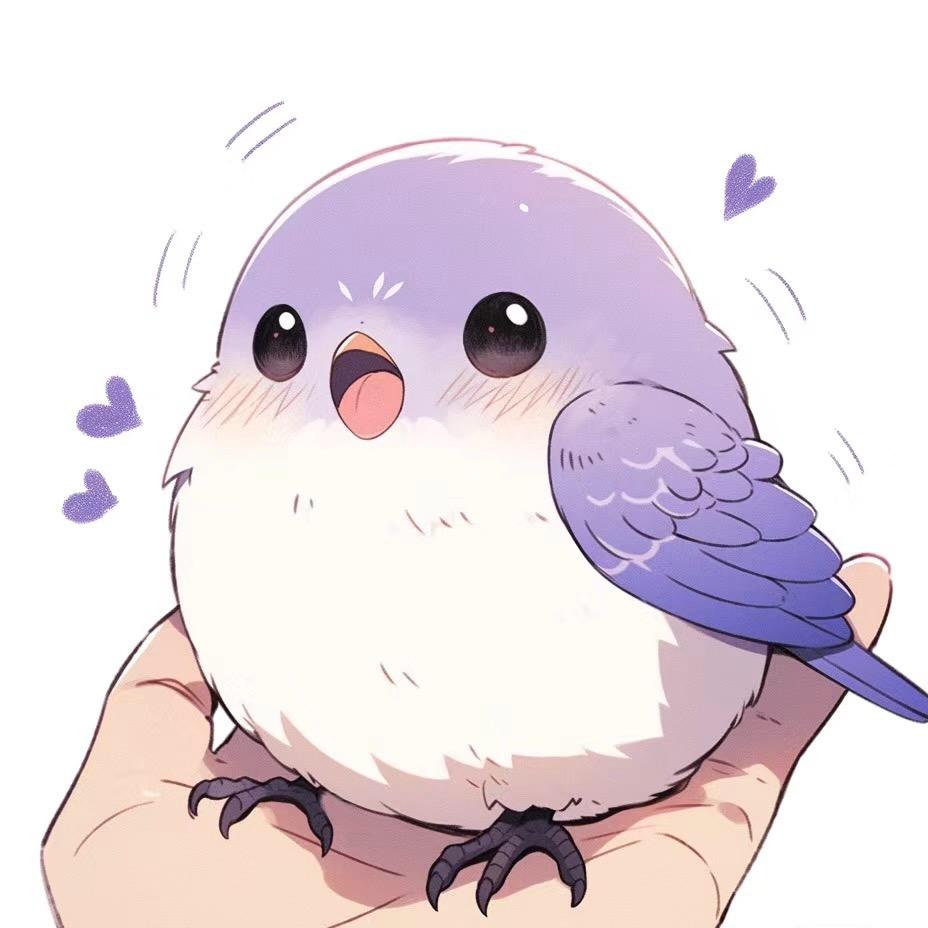 昊天鹦鹉（漳州芗城）