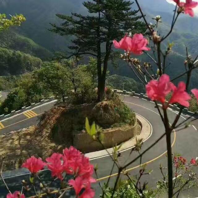 珍珍服装，
