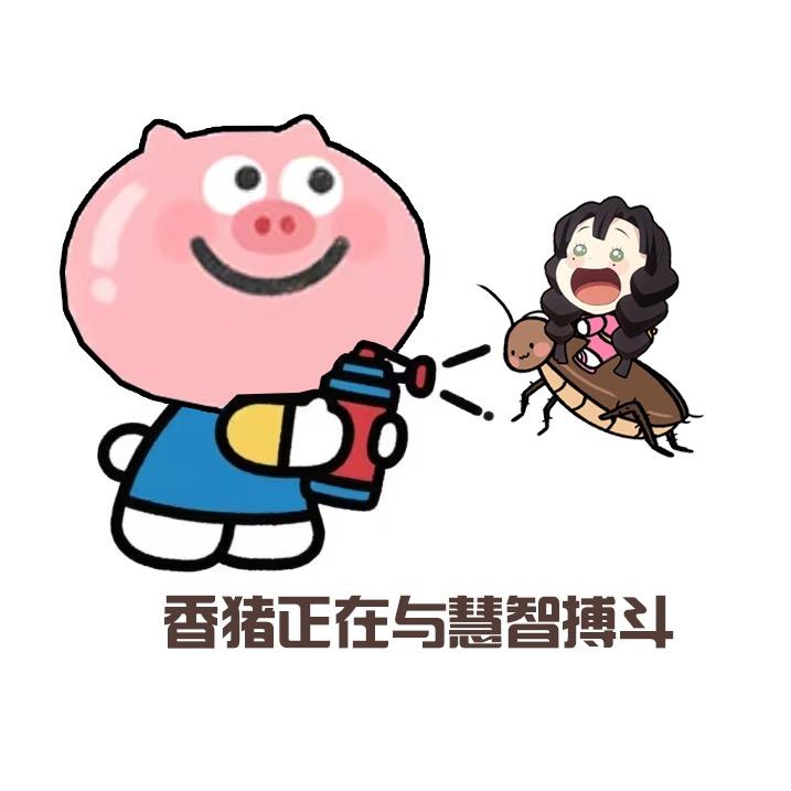 鼠宝大王