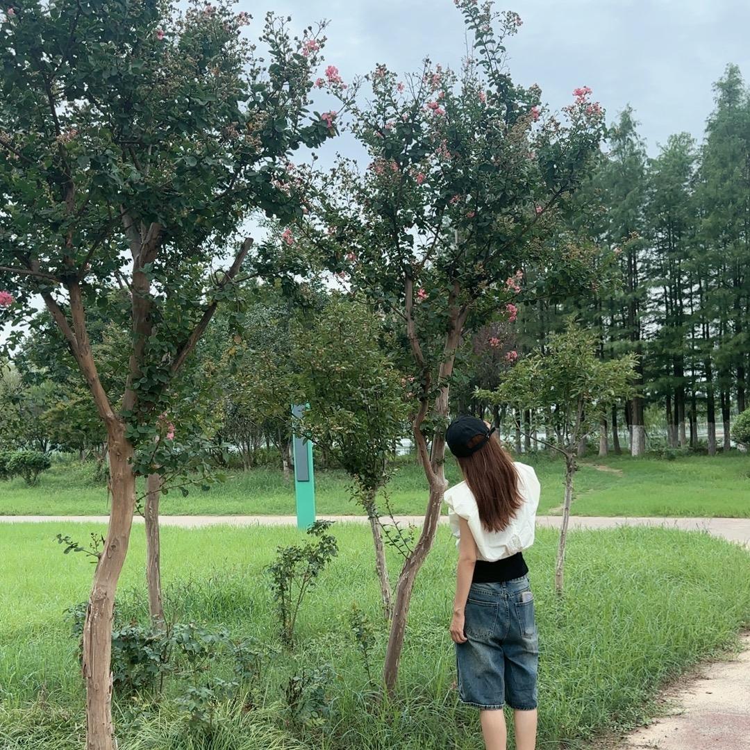 操作证考前咨询
