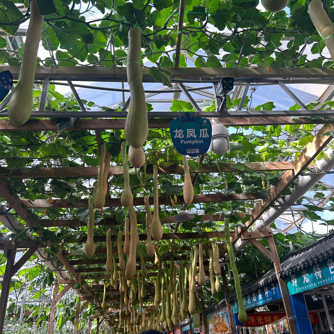 Xubaoer许宝儿微胖女装