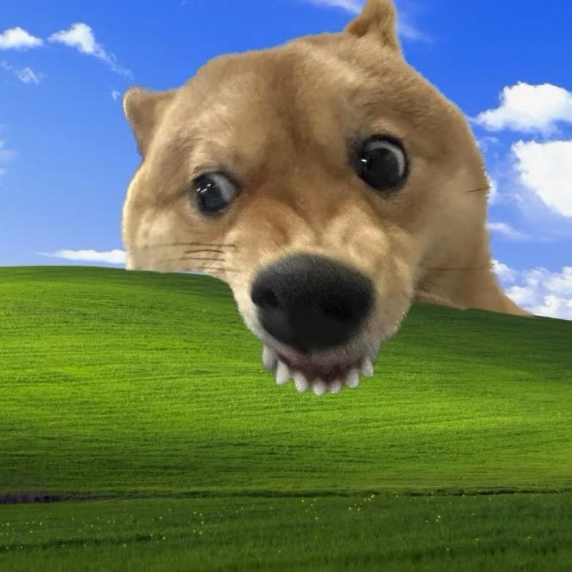 发财的烤地瓜味的蜂蜜柚子