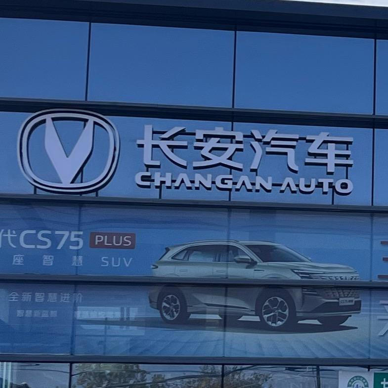 重生之小罗在天水嘉德卖长安.