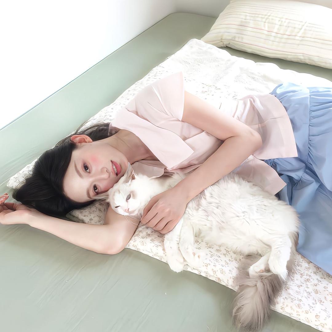 小猫冻干
