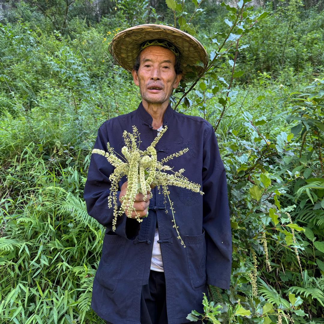 三理文化