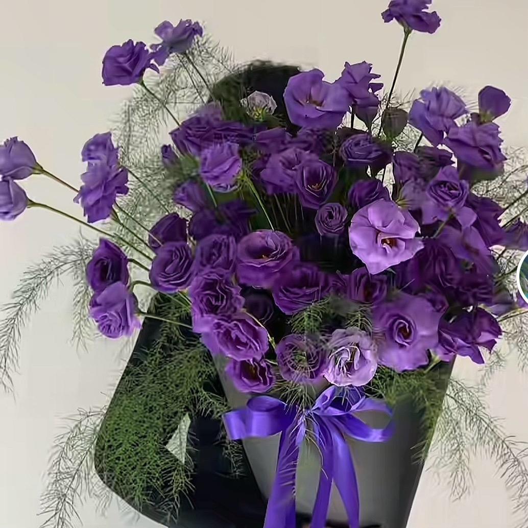 🐠潜水摸鱼冠军✌️