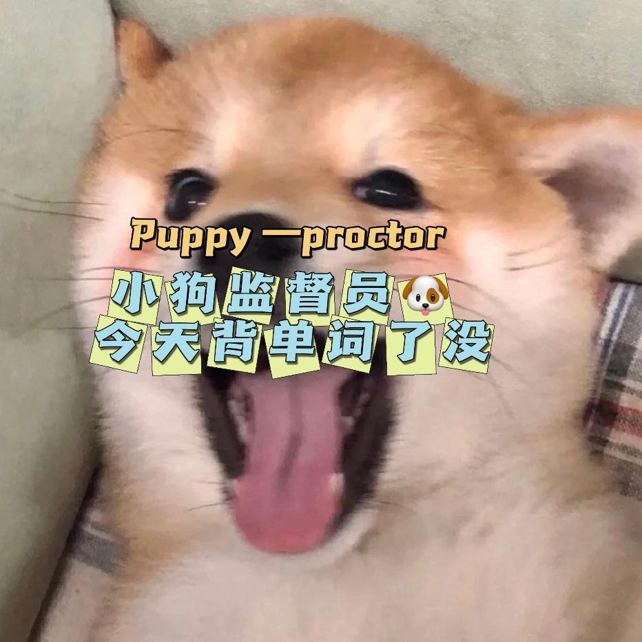 小狗监督背单词