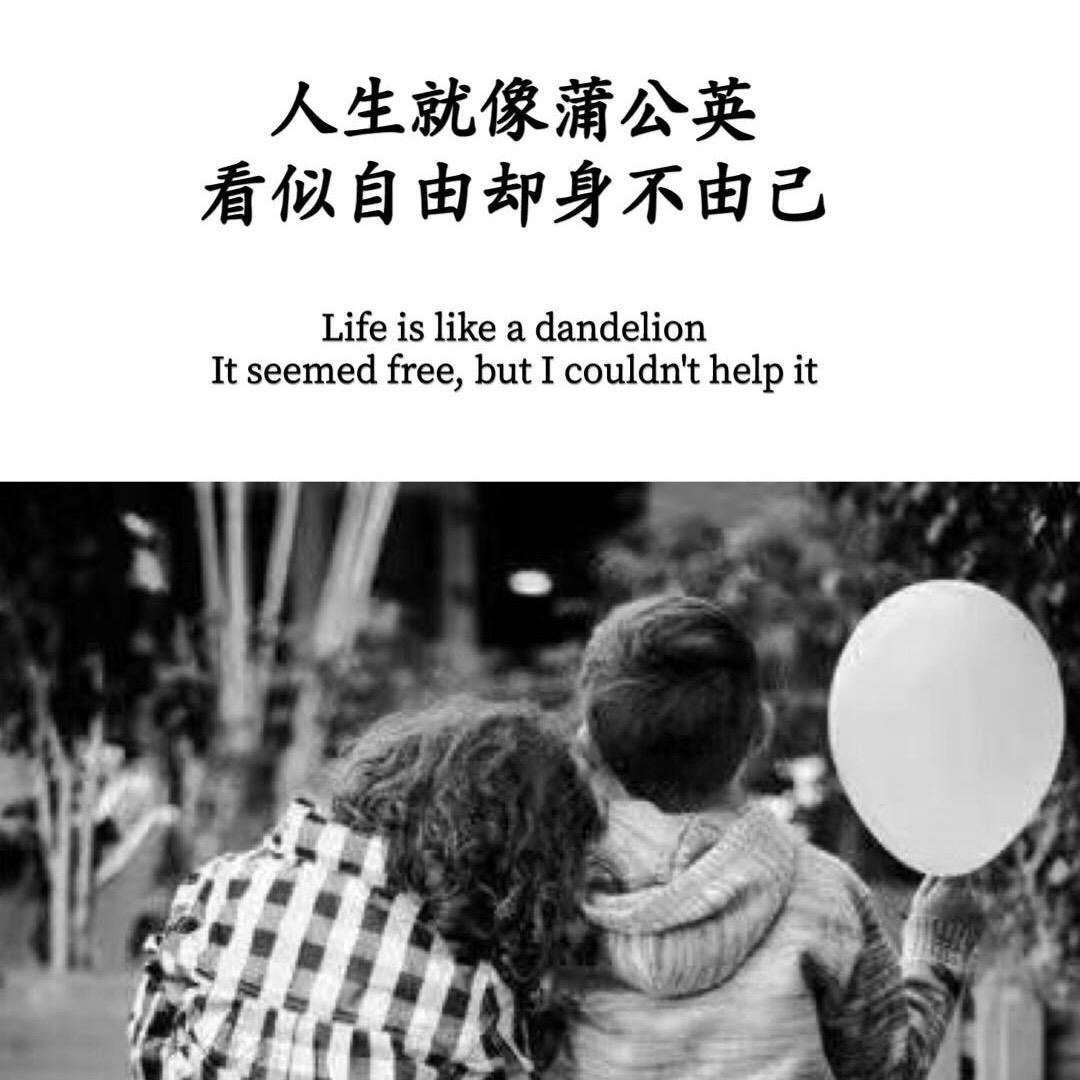 谜底