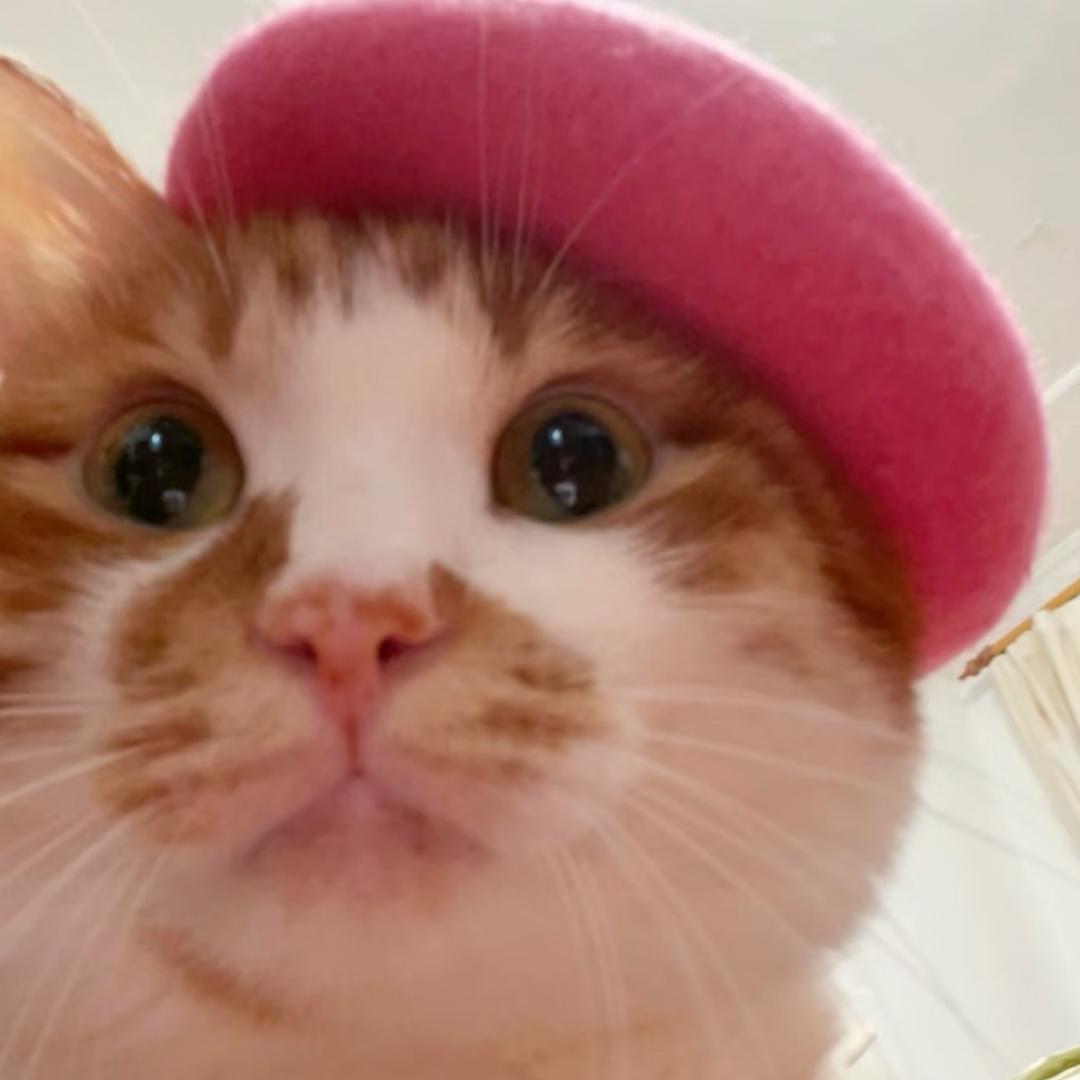 梨