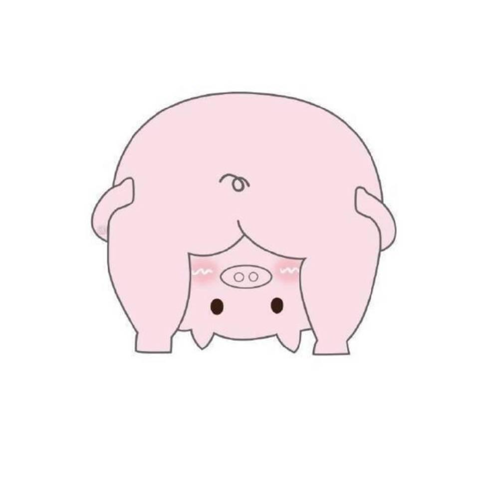 煎bingo子🌸