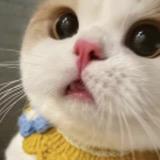 超绝鼻炎