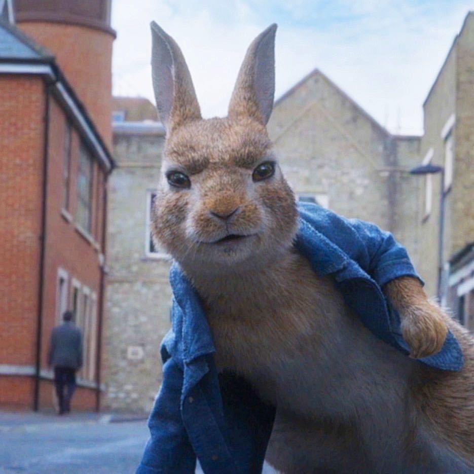 麒阳(三角洲行动)