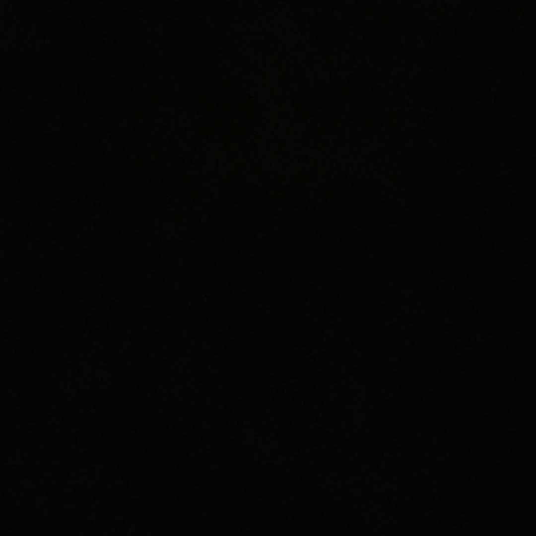 山水田间小土河蟹