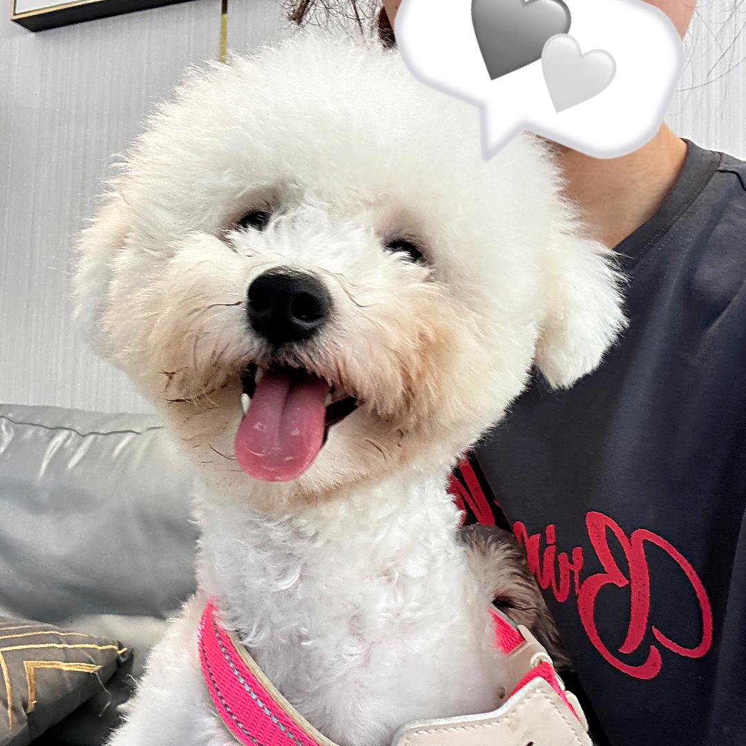 开心